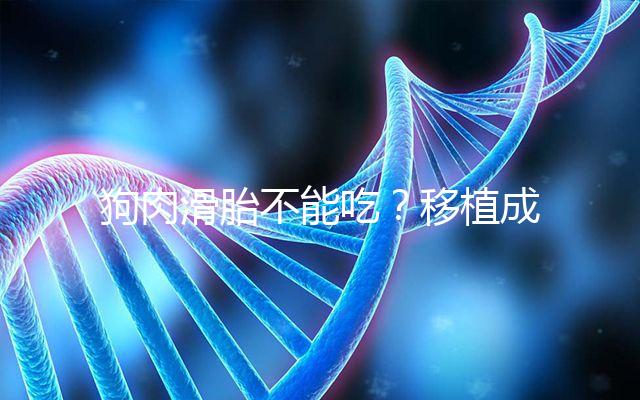 狗肉滑胎不能吃？移植成功后能不能吃狗肉答案看這里
