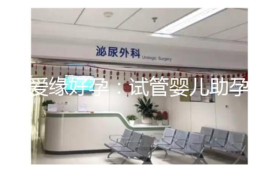 愛(ài)緣好孕:試管嬰兒助孕囊胚移植后,著床時(shí)間全解析