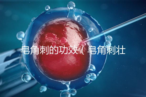 皂角刺的功效(皂角刺壯陽多強)