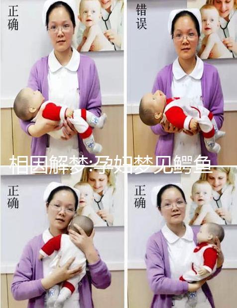 相因解夢(mèng):孕婦夢(mèng)見(jiàn)鱷魚(yú)不一定意味著好事降臨!