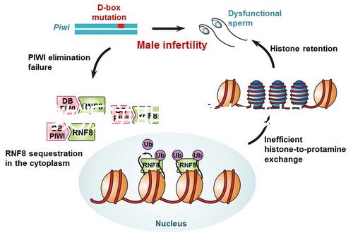 管教叛逆期孩子有妙招，這四個(gè)方法遠(yuǎn)勝封閉式管理