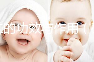 砂仁的功效與作用（砂仁是祛濕熱還是濕寒）