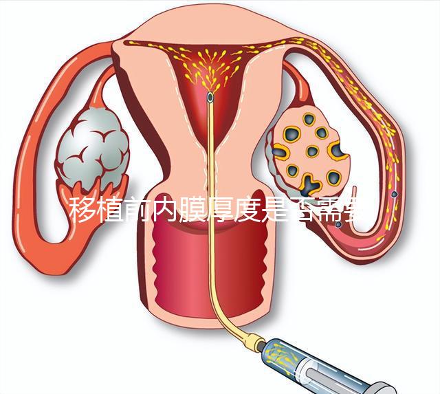 移植前內膜厚度是否需要降調，應注意什么速度