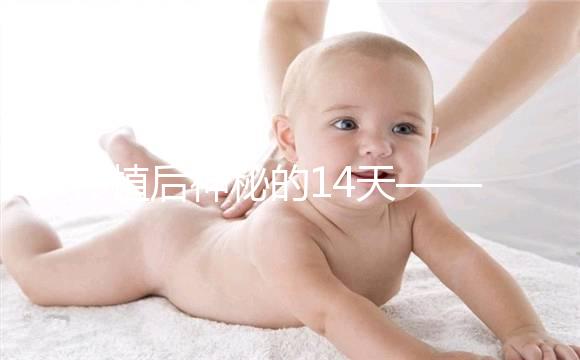 移植后神秘的14天——你的胚胎都發生了哪些變化？