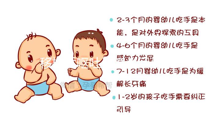 移植后嘔吐是怎么回事？這3大原因別忽視，選對治療方案可促著床！