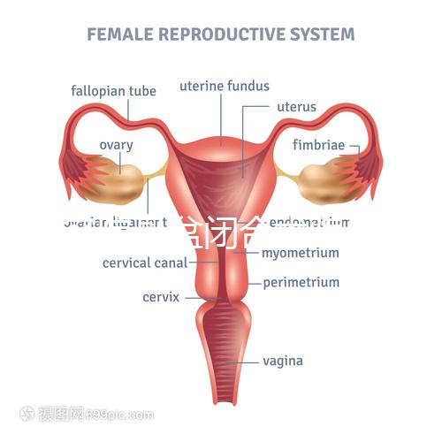 美容院骨盆閉合術(shù)騙局公開，不但沒用還會(huì)造成損傷要小心