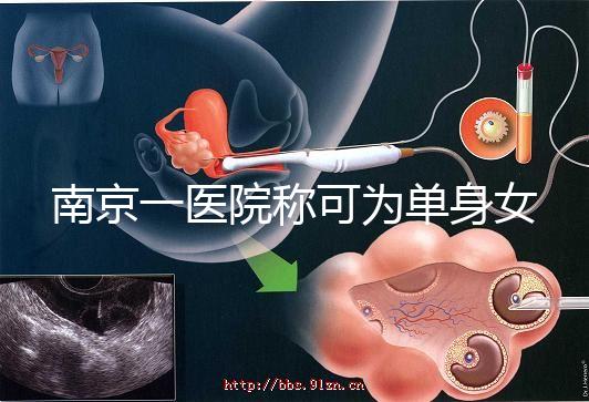 南京一醫院稱可為單身女性試管助孕，并可指定嬰兒性別，衛健委介入