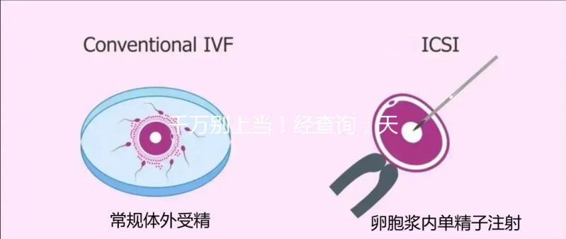 千萬別上當!經(jīng)查詢,天津市僅1家醫(yī)院開展三代試管嬰兒