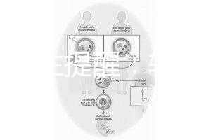 兒科醫(yī)生提醒：輪狀疫苗有不良反應(yīng)，輕微表現(xiàn)持續(xù)時間短