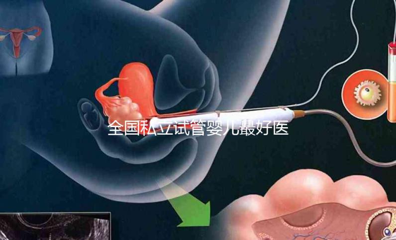 全國(guó)私立試管嬰兒最好醫(yī)院哪里最好,附醫(yī)院推薦
