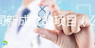 公司新成立的項目（公司新成立的項目歸屬投資人嗎）