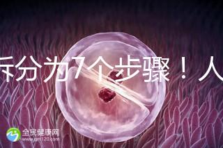 共拆分為7個步驟！人工授精自然周期流程全解