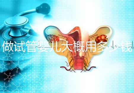 做試管嬰兒大概用多少錢，做試管嬰兒一般需要多少錢