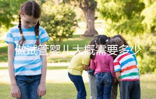 做試管嬰兒大概需要多少錢？2024年全國試管嬰兒費用標準詳單！