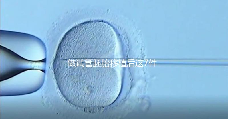 做試管胚胎移植后這7件事做錯,小心胚胎流掉!