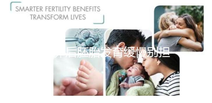 取卵后胚胎發(fā)育緩慢別擔心！這么做試管成功率翻倍