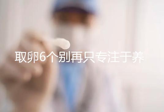 取卵6個別再只專注于養(yǎng)囊成功率了，能否受孕關鍵在受精上