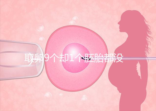 取卵9個卻1個胚胎都沒有，33歲準媽媽最后如何成功？