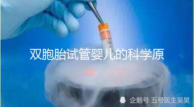 雙胞胎試管嬰兒的科學原理與成功案例探討