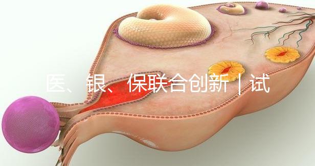 醫(yī)、銀、保聯(lián)合創(chuàng)新｜試管嬰兒保險(xiǎn)套餐及銀行專項(xiàng)分期助孕在我院率先落地！