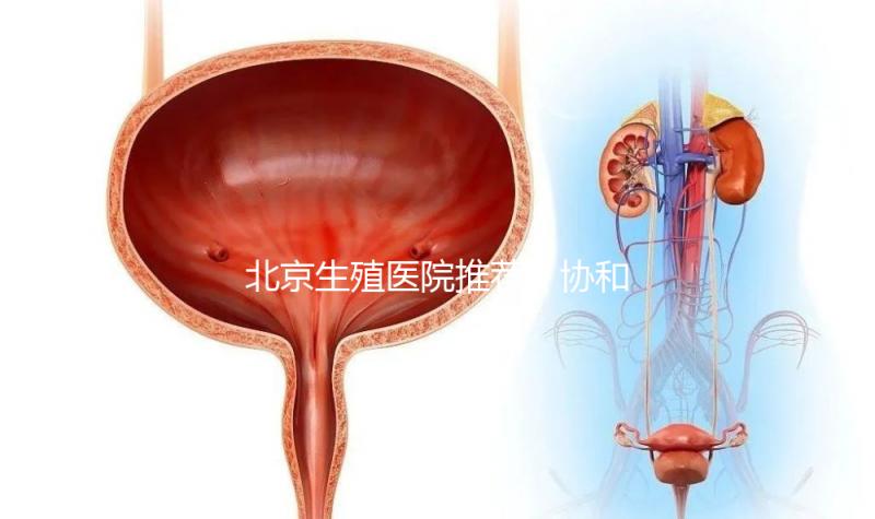 北京生殖醫(yī)院推薦！協(xié)和、北醫(yī)三院等三甲醫(yī)院介紹