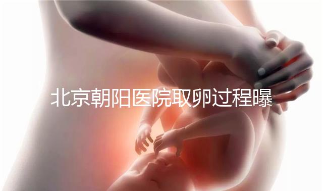 北京朝陽醫(yī)院取卵過程曝光，了解清楚可以避免胎停育