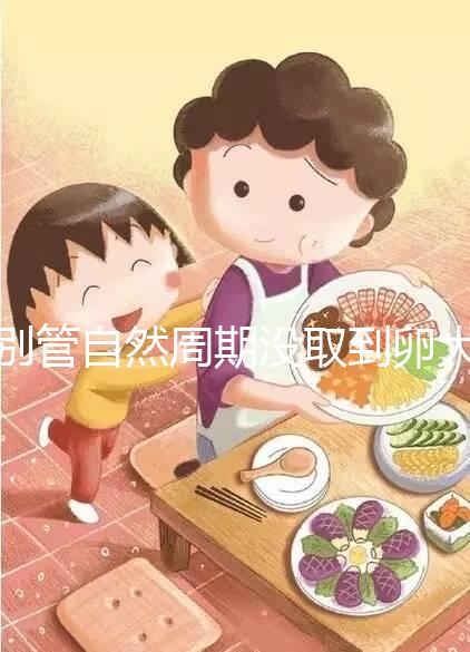 別管自然周期沒(méi)取到卵大夫當(dāng)時(shí)會(huì)不會(huì)說(shuō)了,沒(méi)通知這么辦