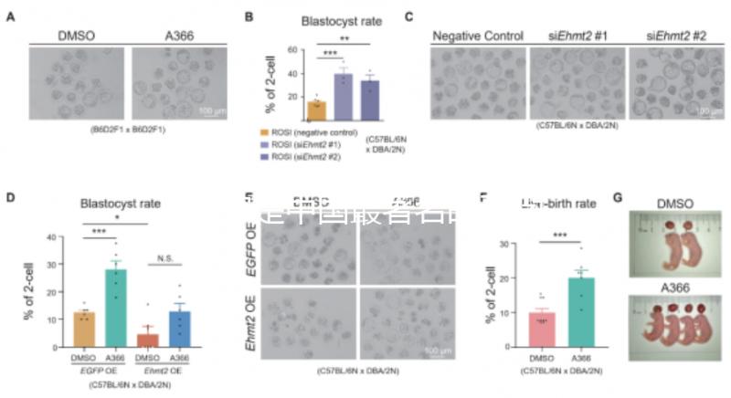 哪家是中國最著名的不孕不育醫(yī)院，包括正規(guī)機構(gòu)的排名