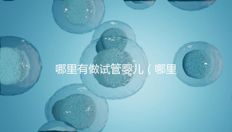 哪里有做試管嬰兒(哪里有做試管嬰兒的醫(yī)院)