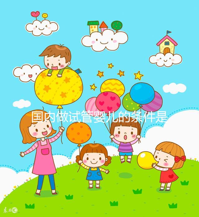 國內(nèi)做試管嬰兒的條件是什么,有什么要求?