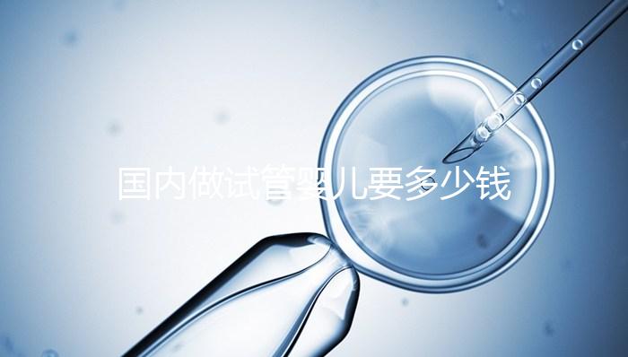 國內(nèi)做試管嬰兒要多少錢
