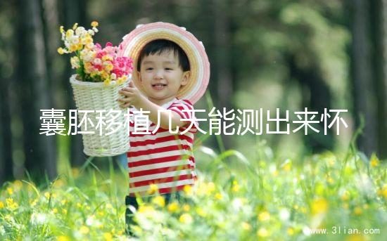 囊胚移植幾天能測出來懷孕？