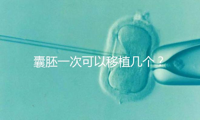 囊胚一次可以移植幾個?