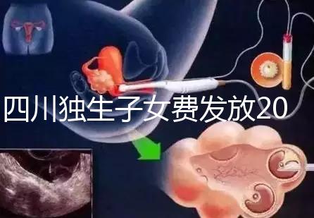 四川獨生子女費發放2024年新規定，如何盡快領取自貢？