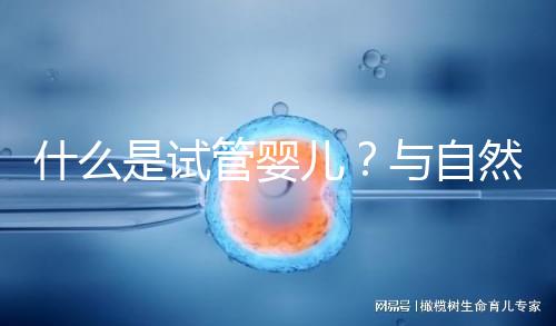什么是試管嬰兒？與自然懷孕的小孩有區別嗎？一文告訴你！