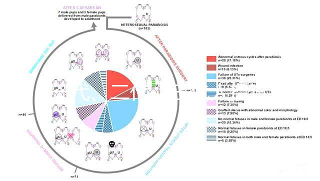 一代、二代、三代人授試管的區別全在這里！還有第四代試管技術！