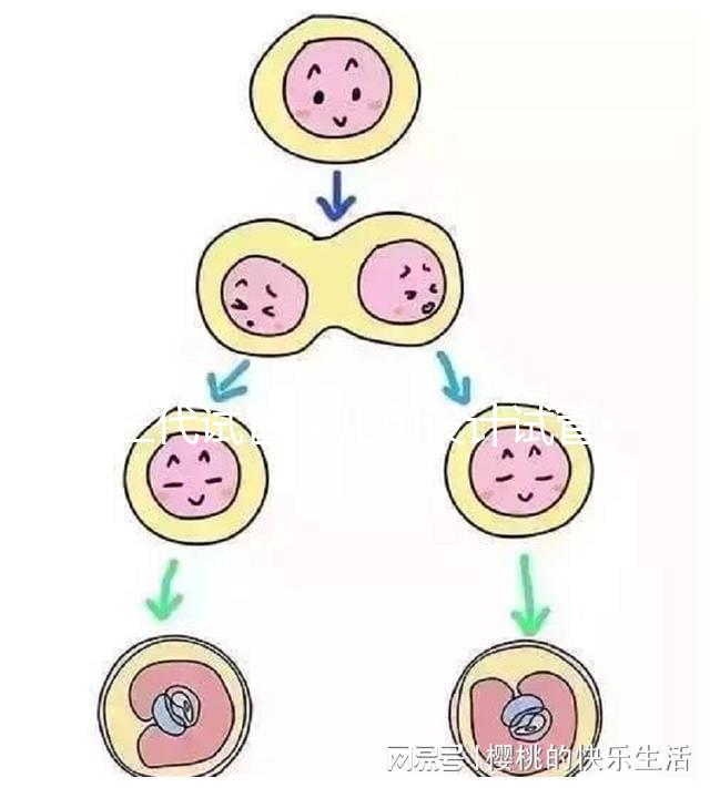 三代試管嬰兒和設(shè)計(jì)試管嬰兒一樣嗎?