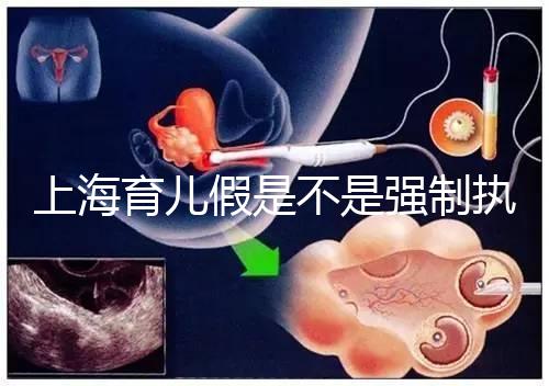 上海育兒假是不是強制執行已明確，2024虹口區何時執行戳