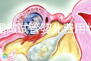 中國(guó)做試管嬰兒費(fèi)用收費(fèi)價(jià)目表一覽，包含具體成本預(yù)算