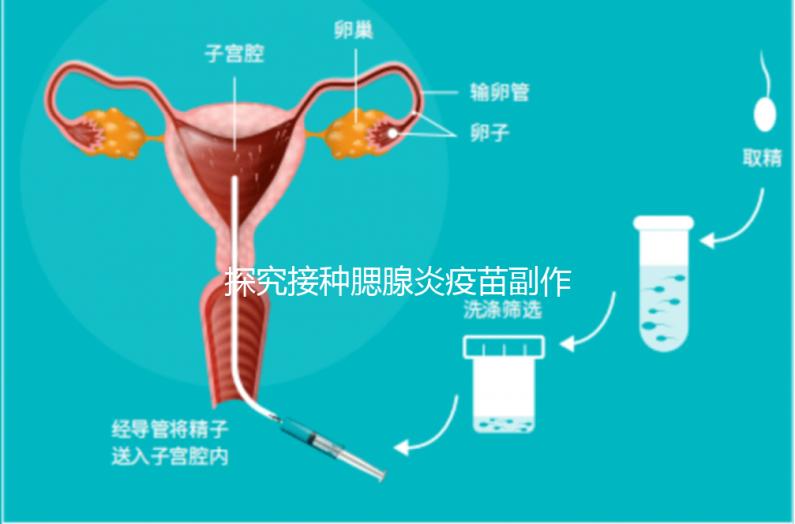 探究接種腮腺炎疫苗副作用,出現(xiàn)發(fā)燒用這3招應對自如