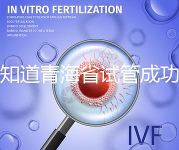 想知道青海省試管成功率多高看過來，助孕案例幫你揭開謎團(tuán)