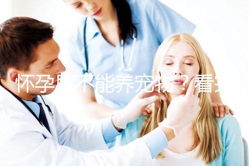 懷孕后不能養寵物?看完試管嬰兒醫生的解釋,請認真做決定