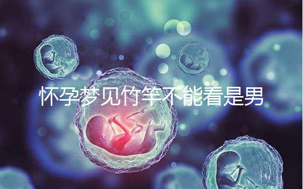 懷孕夢見竹竿不能看是男孩or女孩，解讀胎夢預兆別太主觀