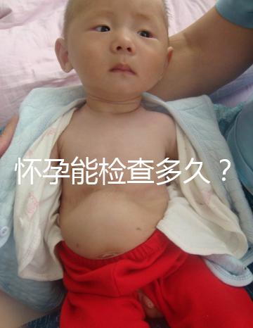 懷孕能檢查多久？