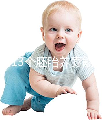 揭秘13個(gè)胚胎養(yǎng)囊能養(yǎng)成幾個(gè),別以為6個(gè)著床幾率就高