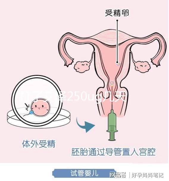 打了艾澤250ug幾天能代謝完戳，第十天別還不敢走下一步