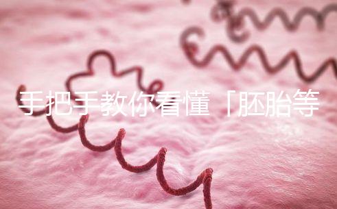 手把手教你看懂「胚胎等級報告」，不做試管嬰兒懵星人