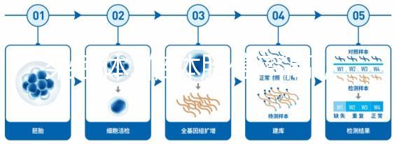染色體3倍體胎停率高，治療首選三代試管