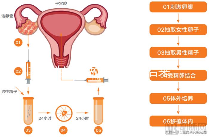 無性婚姻做試管嬰兒后來怎么樣？三個(gè)大案例揭開了內(nèi)幕