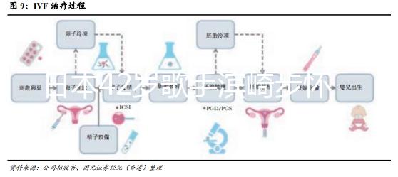 日本42歲歌手濱崎步懷二胎，孩子父親身份引猜測